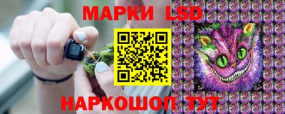 PSILOCYBIN Камышлов