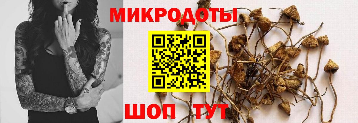 Псилоцибиновые грибы прущие грибы  Вход с VPN  Лесной 