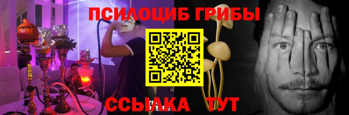 Галлюциногенные грибы прущие грибы Лесной