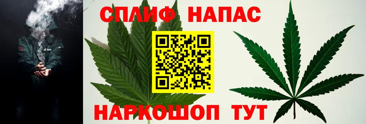 Бошки марихуана планчик  Шишки марихуана SATIVA & INDICA  Лесной  Вход с VPN  Бошки марихуана конопля 